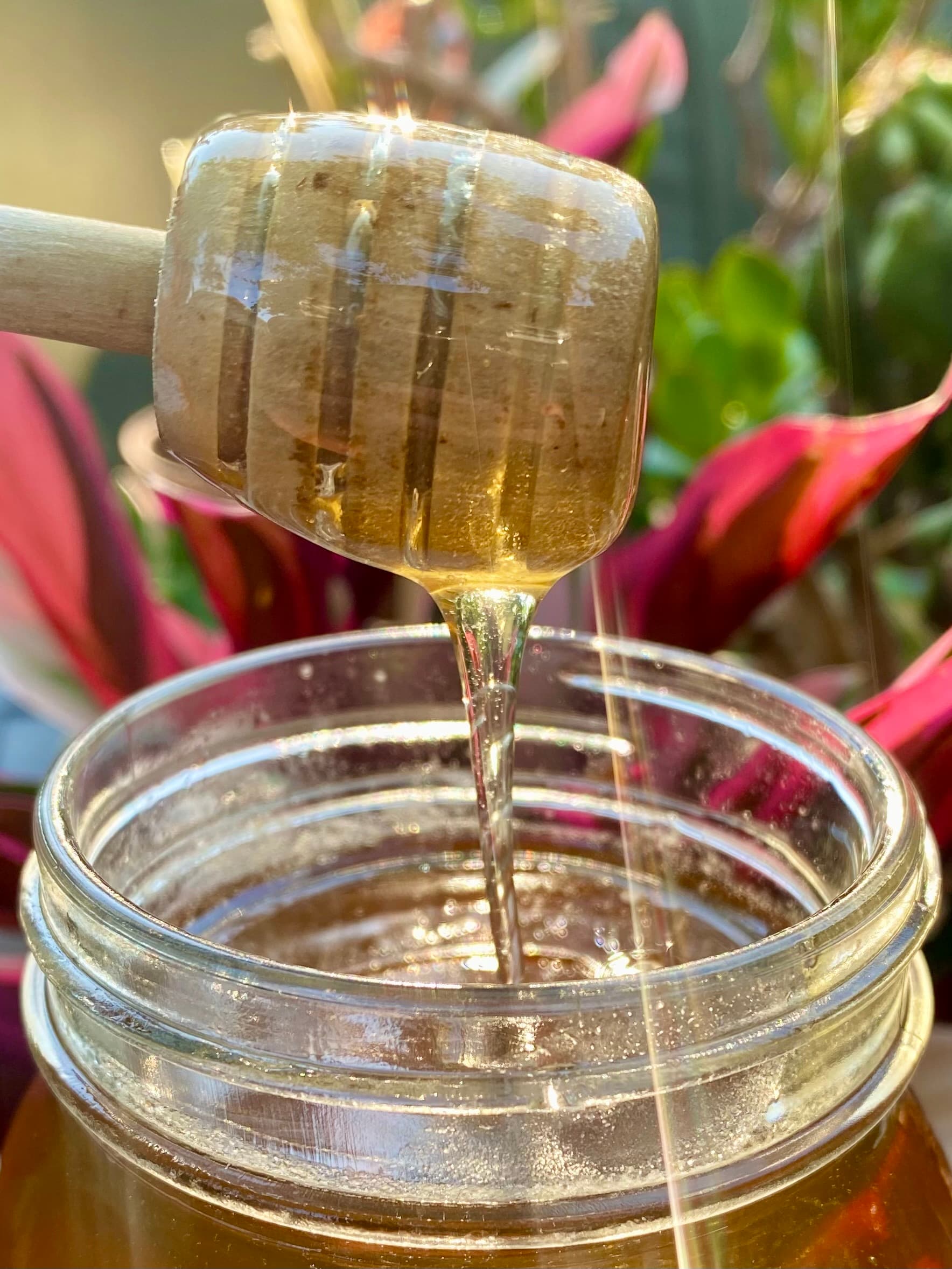 Raw Honey